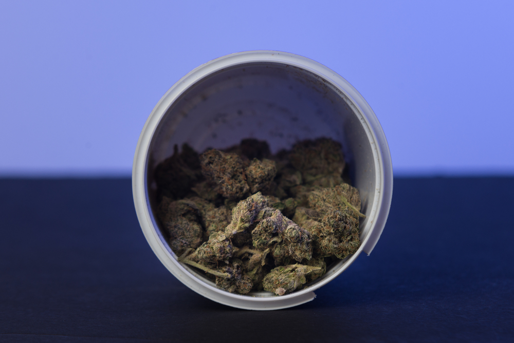 marijuana stored in container